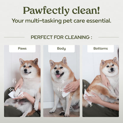 Premium USA imported dog grooming wipes for sensitive skin.