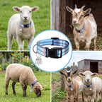 Yeyeplum farm animal accessory package showcasing the single bohemian printed collar alongside the included copper bell and stainless steel key ring.