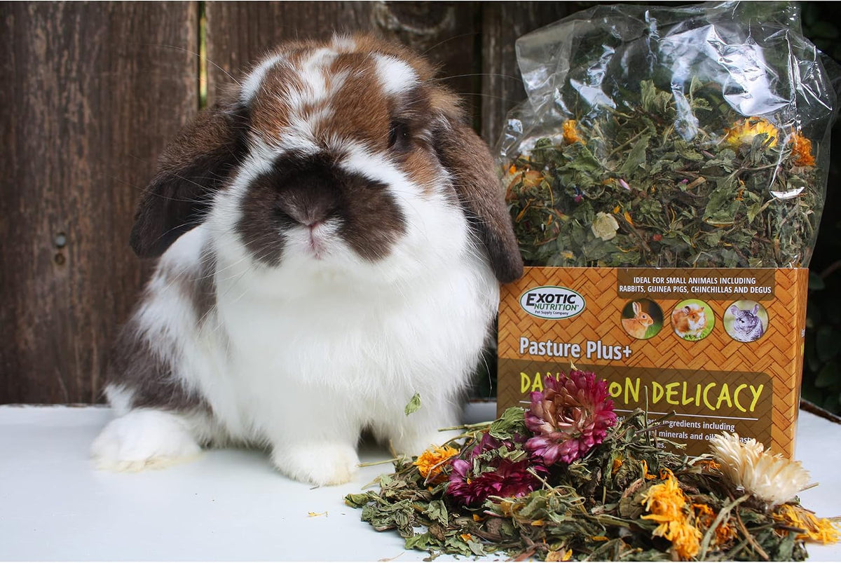 Six ounce bag of natural herbivore snack package back
