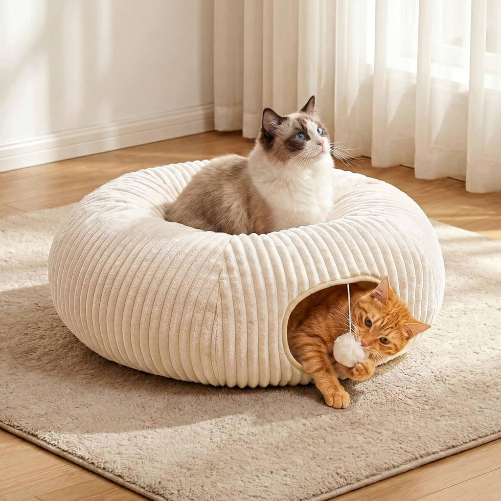 Authentic USA imported MOYMO cat amusement bed set up in a modern living room for indoor pet exercise