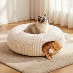 Authentic USA imported MOYMO cat amusement bed set up in a modern living room for indoor pet exercise