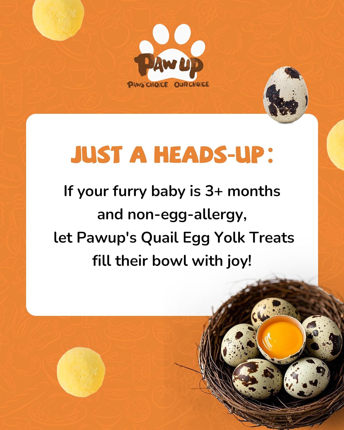 Pawup premium imported dog and cat treat container on clean background