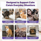 Cat Calming Diffuser with Advanced Pheromone Technology, 120 Days Plug in Diffuser for Multi Cat Home, Reduce Stress, Urine Spraying, Scratching, Hiding, Support Calm Behavior, 2 Diffusers, 4 Refills - Image 5