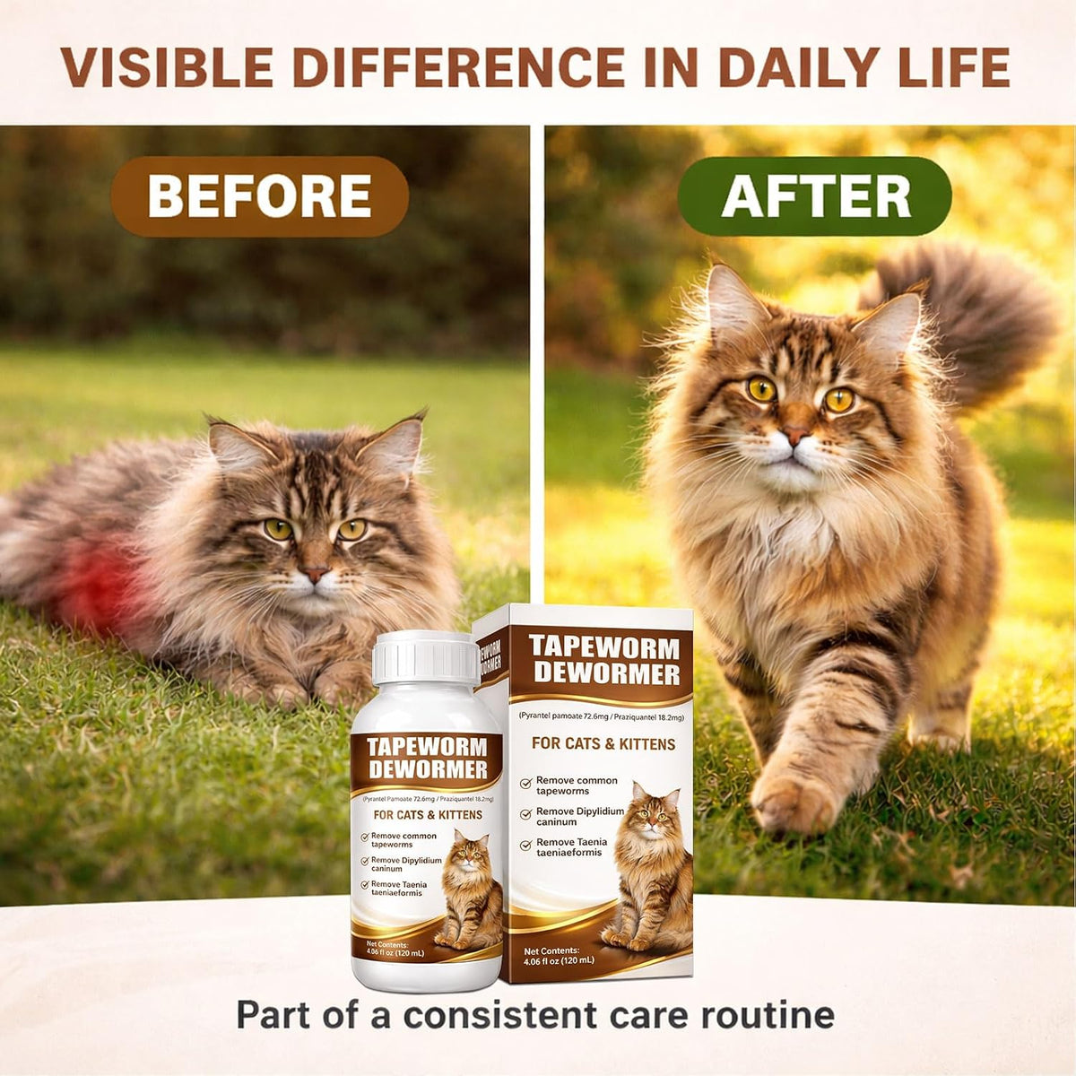 Safe liquid hookworm treatment for kittens over six weeks of age.