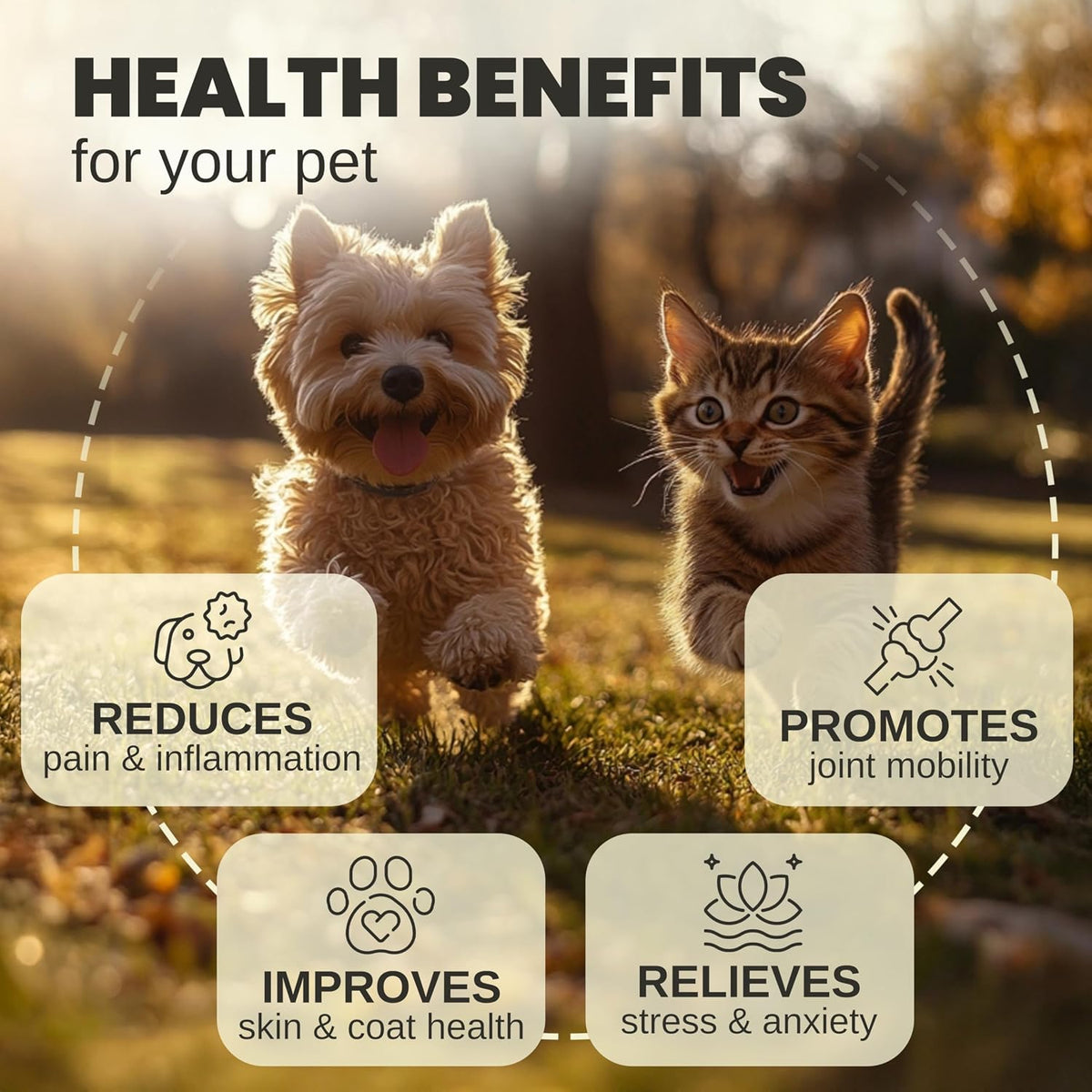 Billion Pets pet anxiety and pain relief hemp oil drop supplement packaging