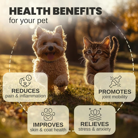 Billion Pets pet anxiety and pain relief hemp oil drop supplement packaging