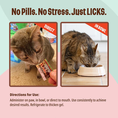 Instructional view of how to apply Licks Pill Free skin gel on cat food.