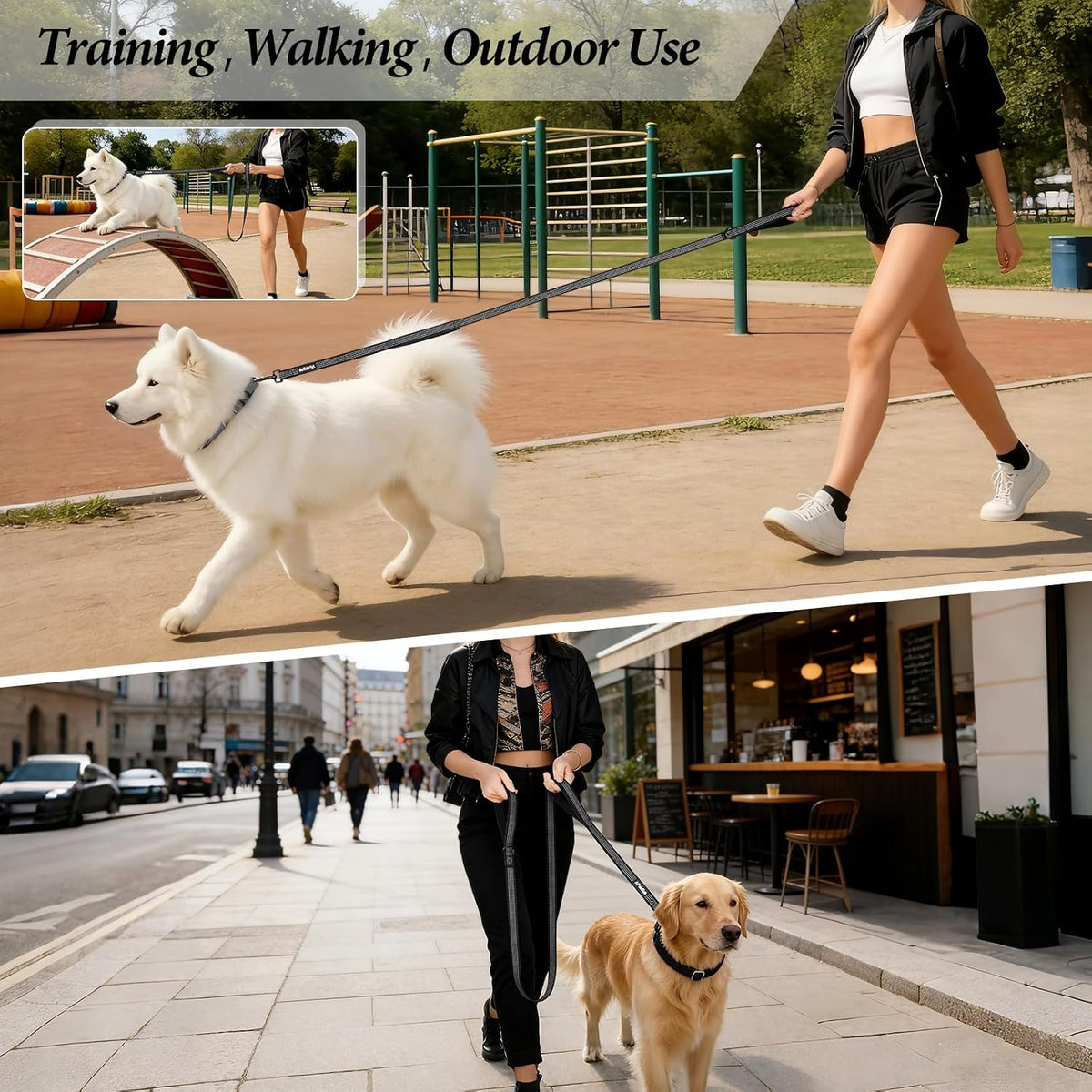 APAKBAK premium pet walking leash emphasizing the dual zone comfort grips.
