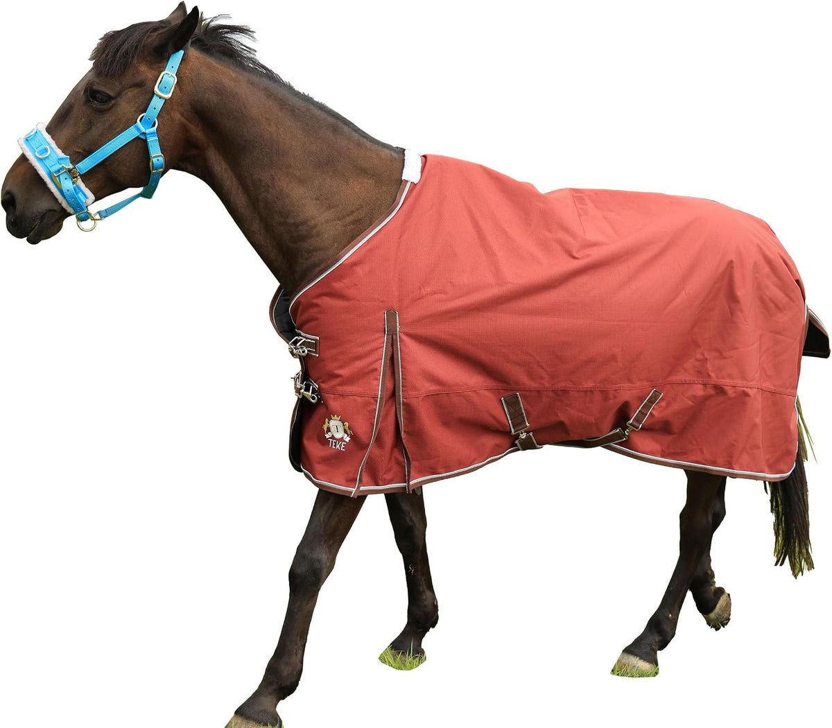 T TEKE Deluxe Turnout Horse Blankets, 1200D Waterproof and Breathable Horse Care Blankets for Winter 200gram Filling (51"-87" Including Miniature/foal Size) - Image 11