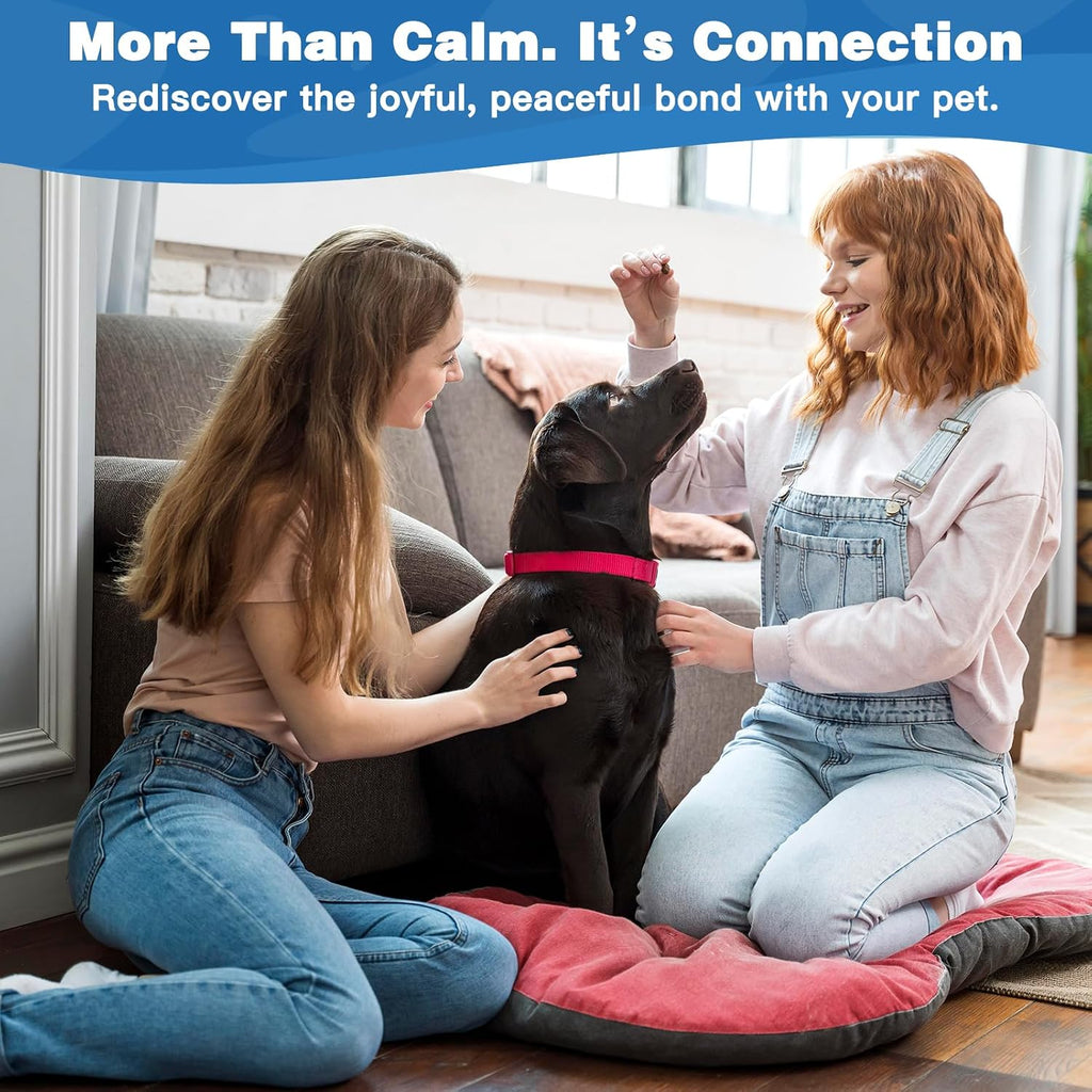 Professional pet training equipment for barking and jumping