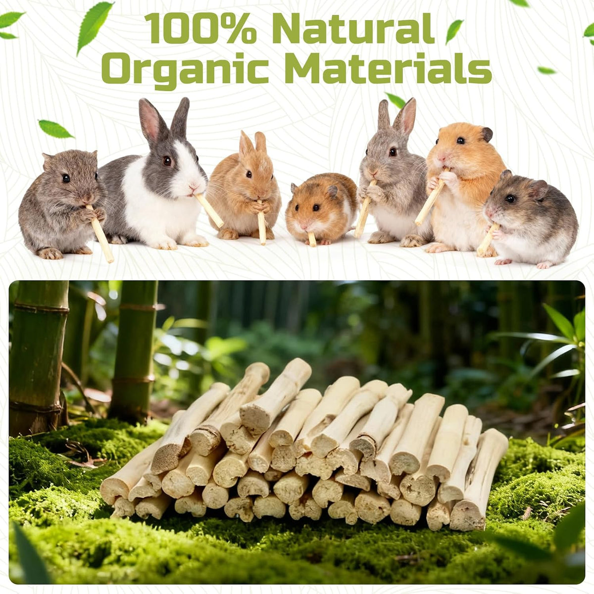 StyEdEk molar sticks for small pet dental health care and tooth trimming