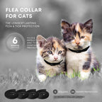 Four pack set of ProElobara cat flea and tick prevention collars