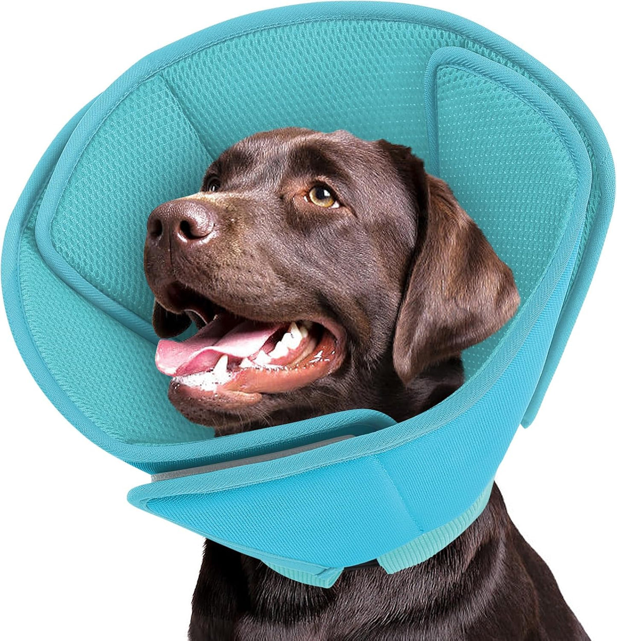 Queenmore Soft Dog Cones for Large Dogs,Comfy Dog Cone for Dogs to Stop Licking After Surgery,Adjustable Pet Cone Alternative for Wound Healing,Blue,X-Large - Image 13