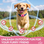 Close up of Bytecloud Ltd pink pet collar tag