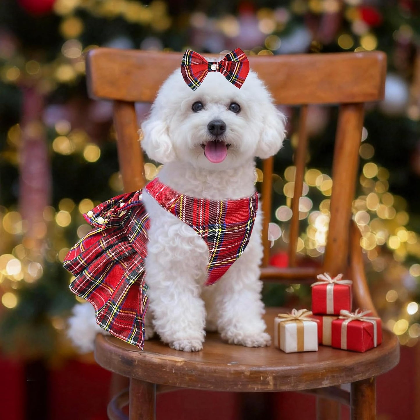 Side profile of the elegant holiday princess dress for small female dogs and cats