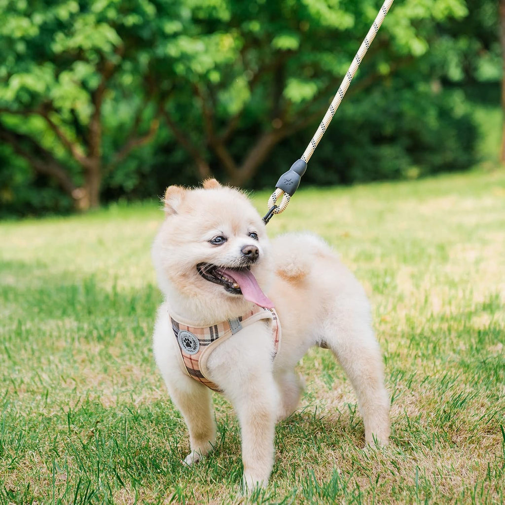 BEAUTYZOO no pull dog vest and tangle free swivel hook leash set