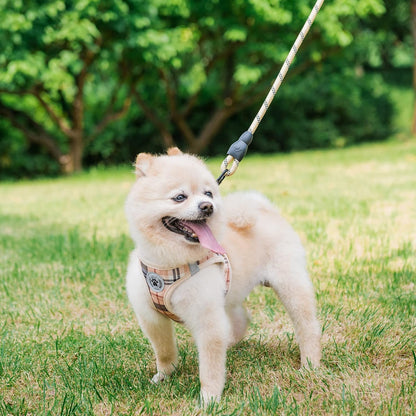 BEAUTYZOO no pull dog vest and tangle free swivel hook leash set