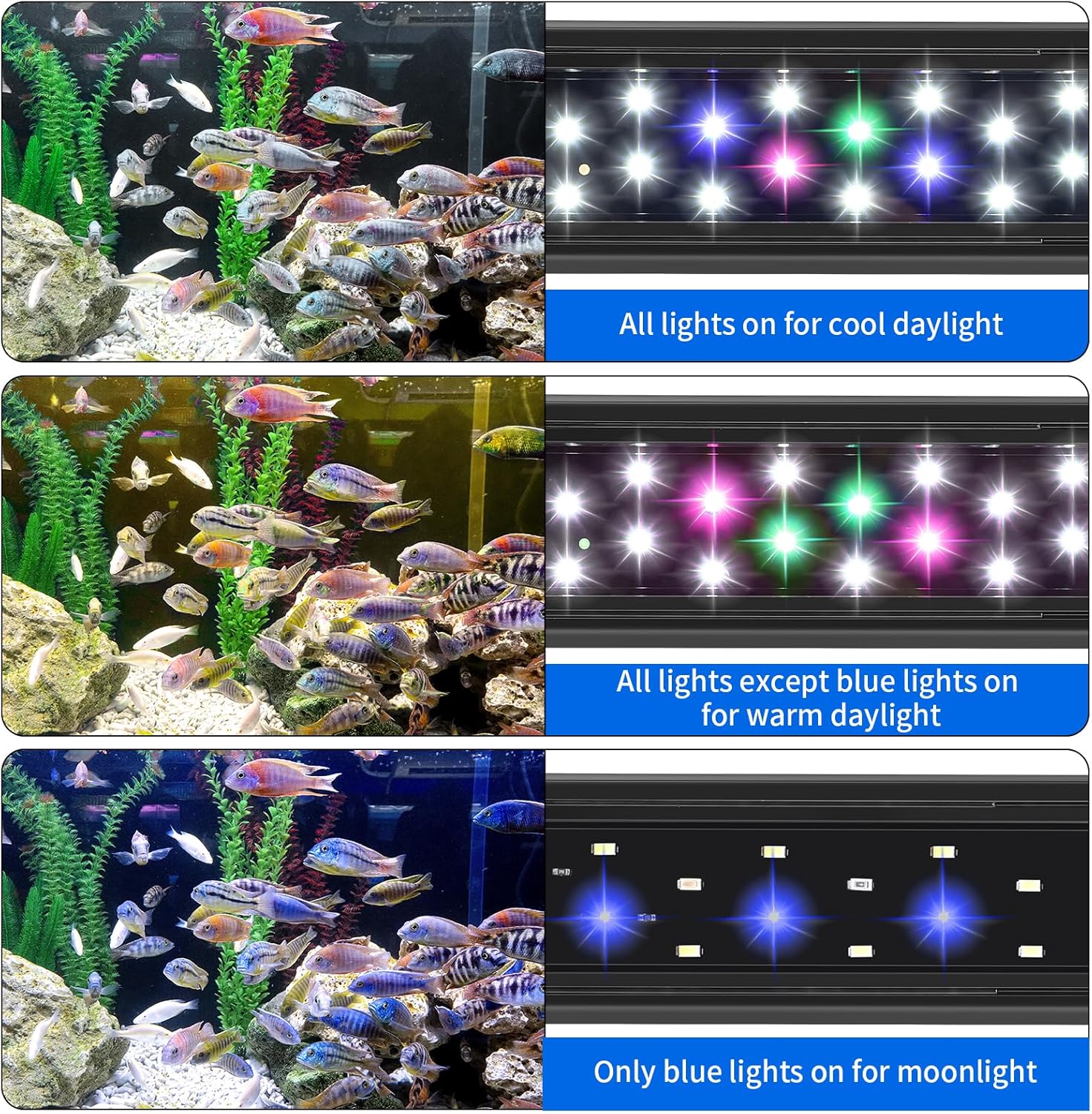 Aquaneat full spectrum LED aquarium light on a freshwater tank