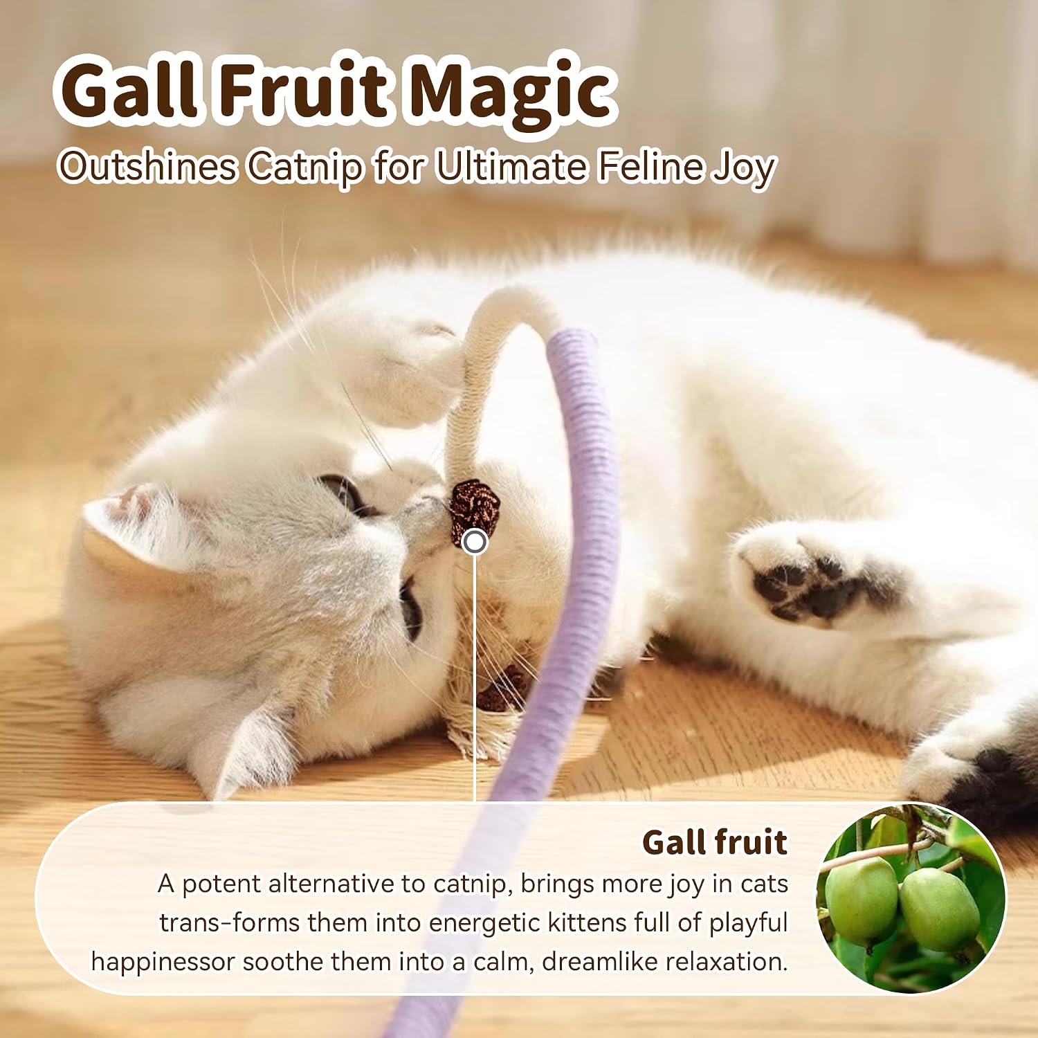 Cat playing with colorful interactive rope toys