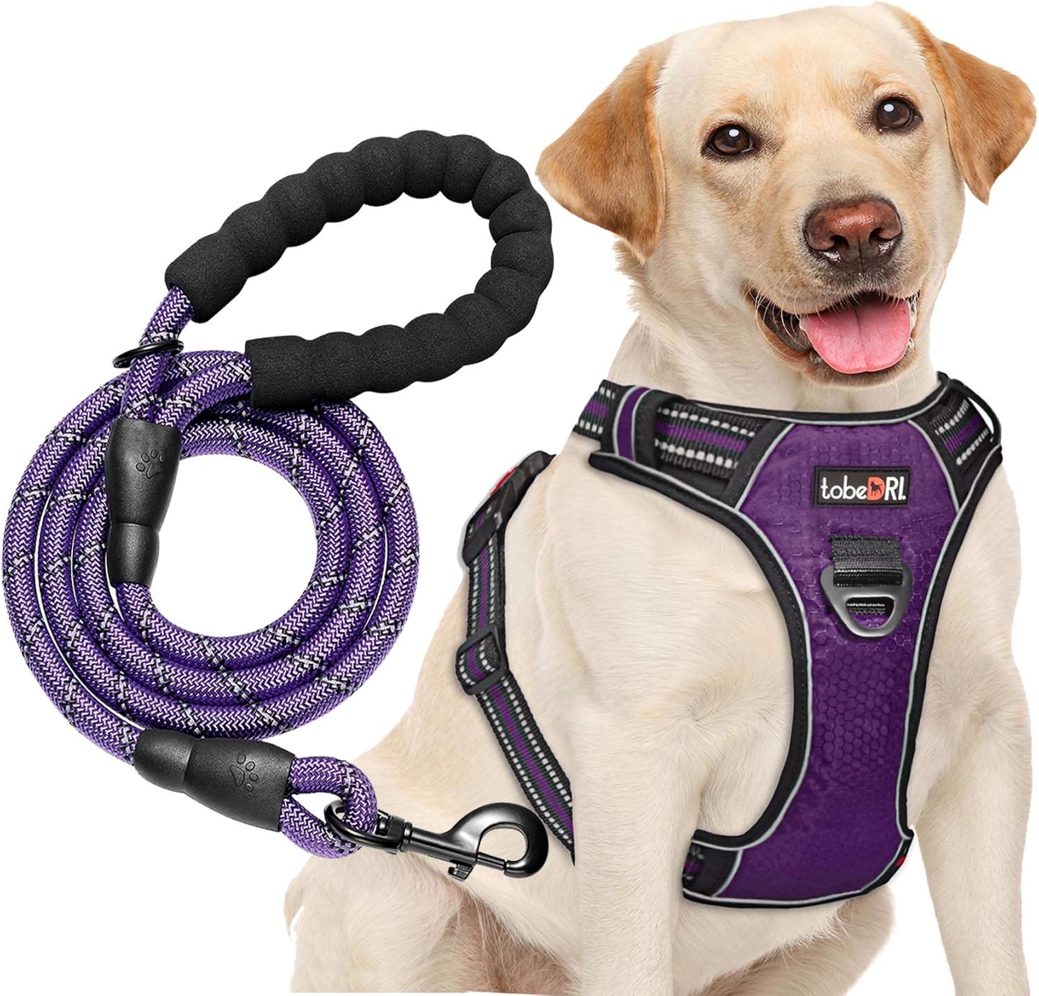 tobeDRI No Pull Dog Harness Adjustable Reflective Oxford Easy Control Medium Large Dog Harness with A Free Heavy Duty 5ft Dog Leash - Image 14