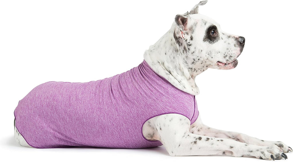 Goldpaw Dog Sun Shirt with UV Protection - Lightweight, Cooling Sun Protection Clothing for Dogs - Reduce Heat Absorption - Pet Clothes Made in the USA - Machine Washable - Size 16 - Pebble Grey - Image 13