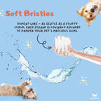 Generic pet toothbrush handle and battery compartment