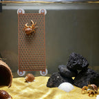 Bolagar exercise playground ramp for hermit crabs with four suction cups attached