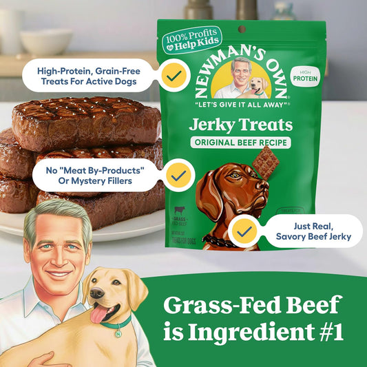 Newman's Own beef jerky dog treat texture close up