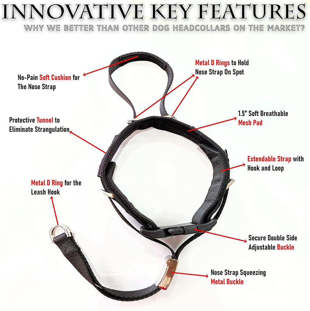 Durable nylon construction of JVA Pro no pull headcollar