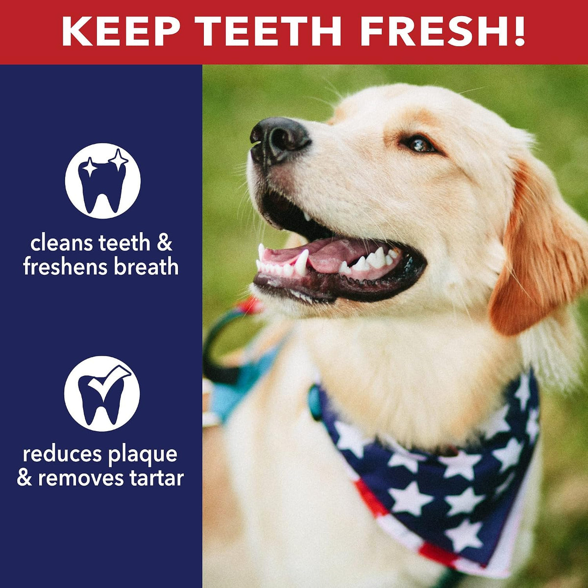 Premium imported Pet Factory dog chew packaging back view