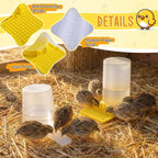 2 Pack Quail Water Feeder, Anti Drowning Design, 400ml - Image 6