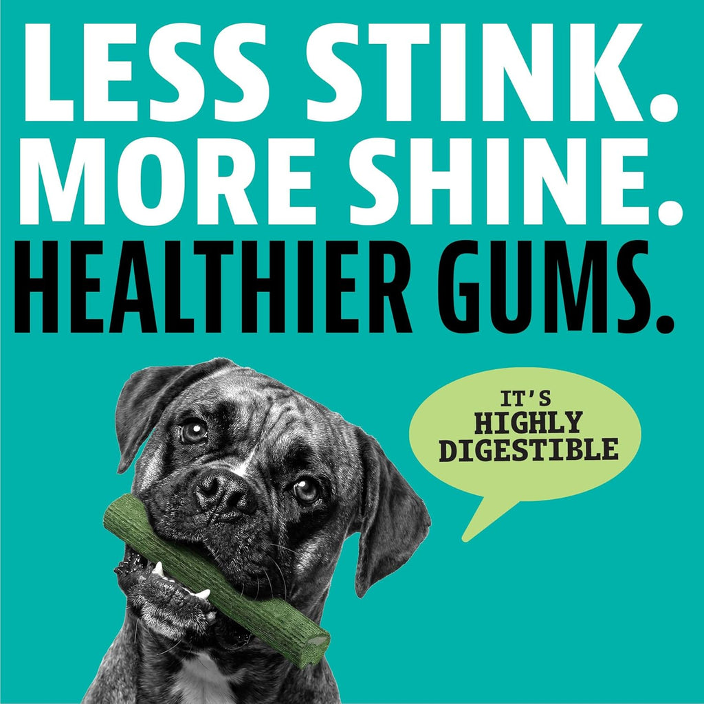 Dinovite Triple Action Dog Dental Treats fresh mint flavor premium oral hygiene product