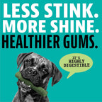 Dinovite Triple Action Dog Dental Treats fresh mint flavor premium oral hygiene product