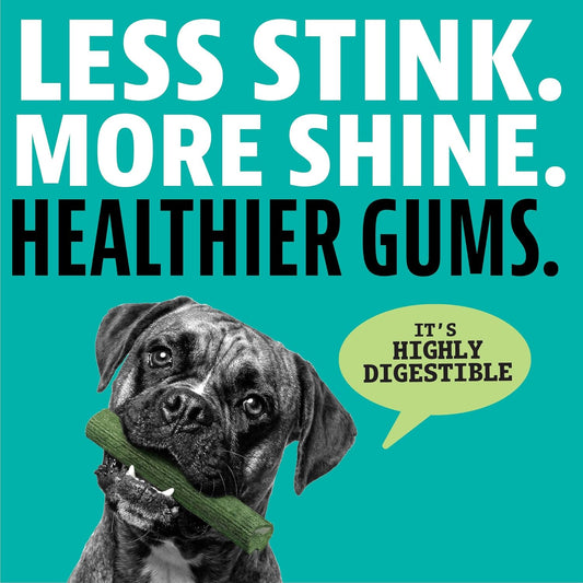 Dinovite Triple Action Dog Dental Treats fresh mint flavor premium oral hygiene product