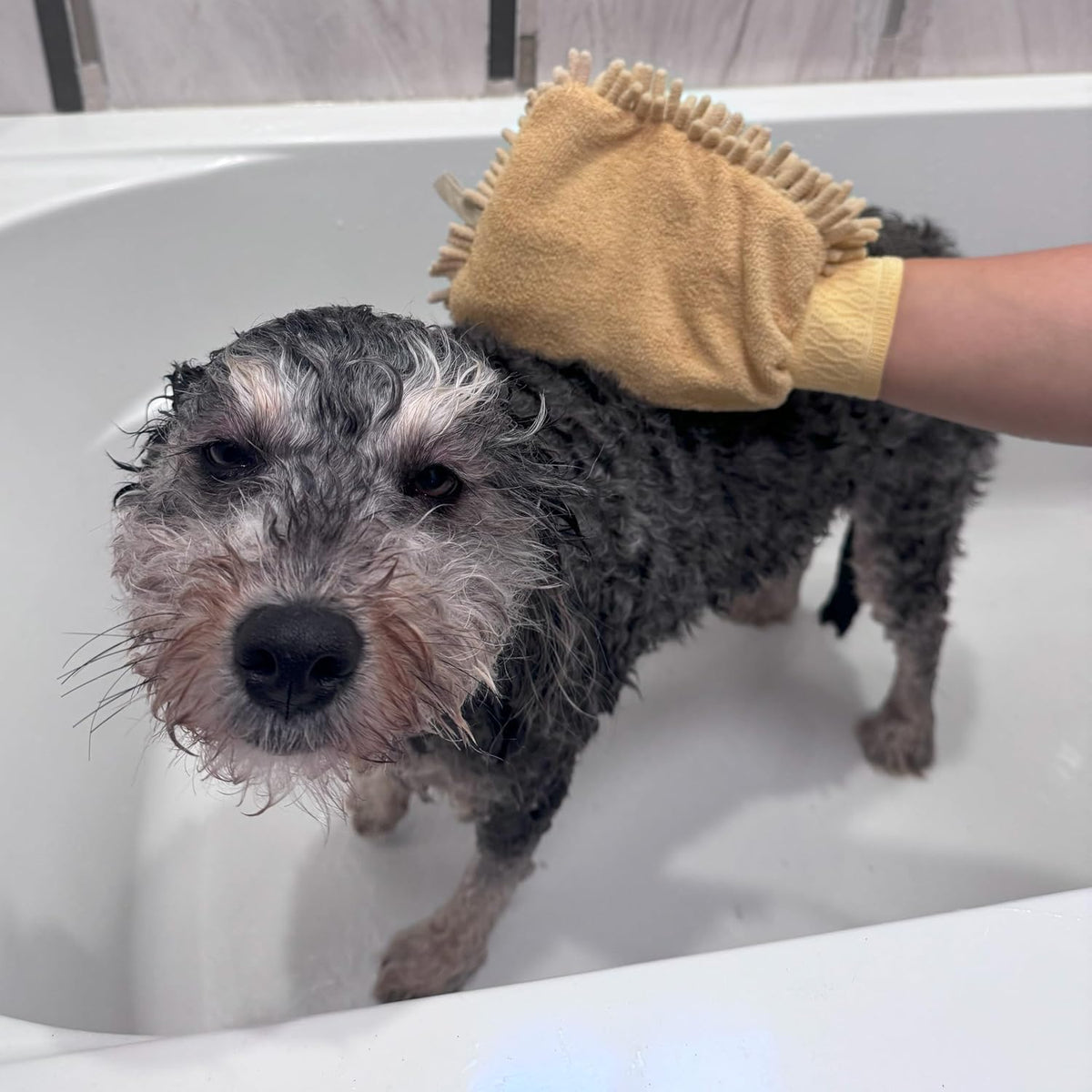 SPOT Clean Paws Chenille Microfiber Dog Towel Mitt - Super Absorbent, Quick-Drying, Washable, Double-Sided Glove for Wet Paws & Body, Durable, Odor-Free, Gently Massages & Dries, 9.5in x 7in - Image 13