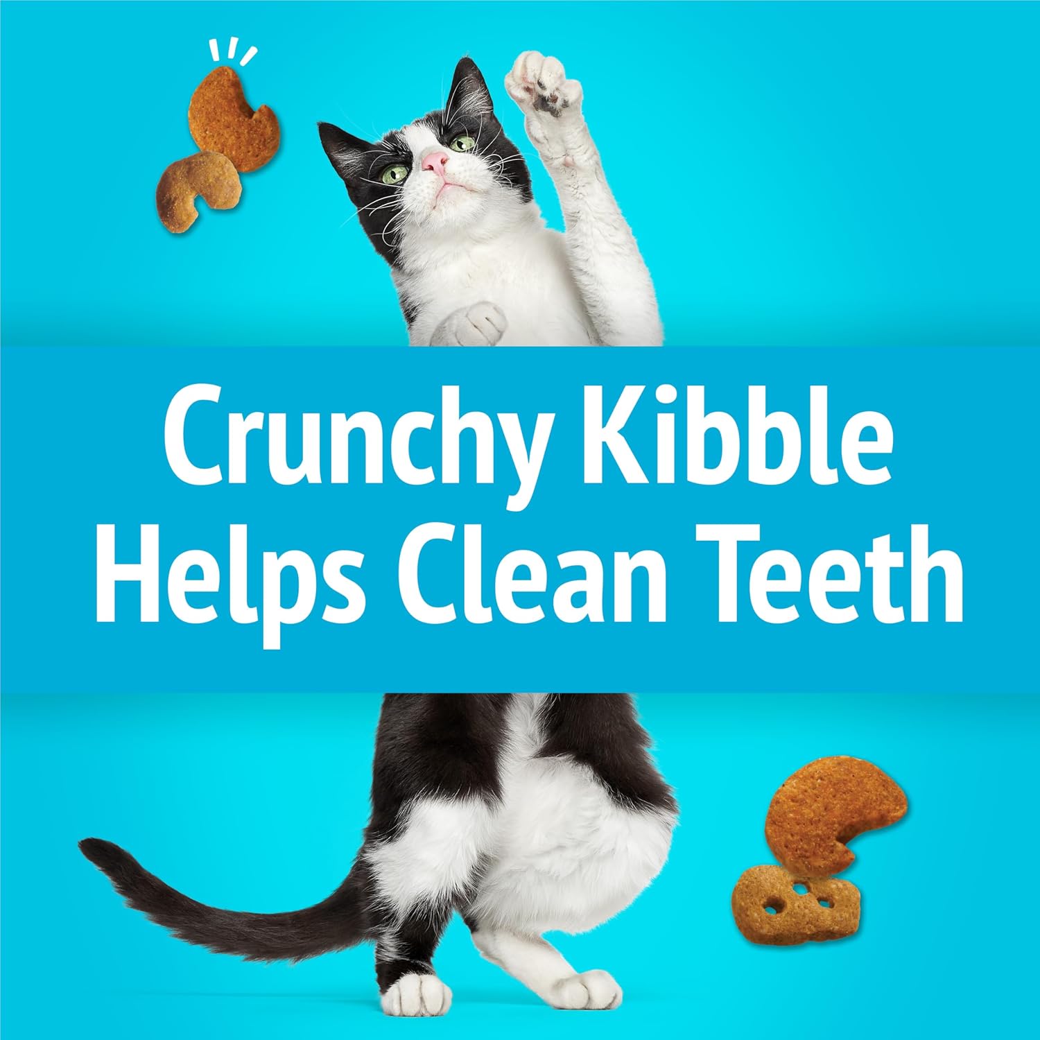 Low calorie feline treats with playful shapes for interactive training.