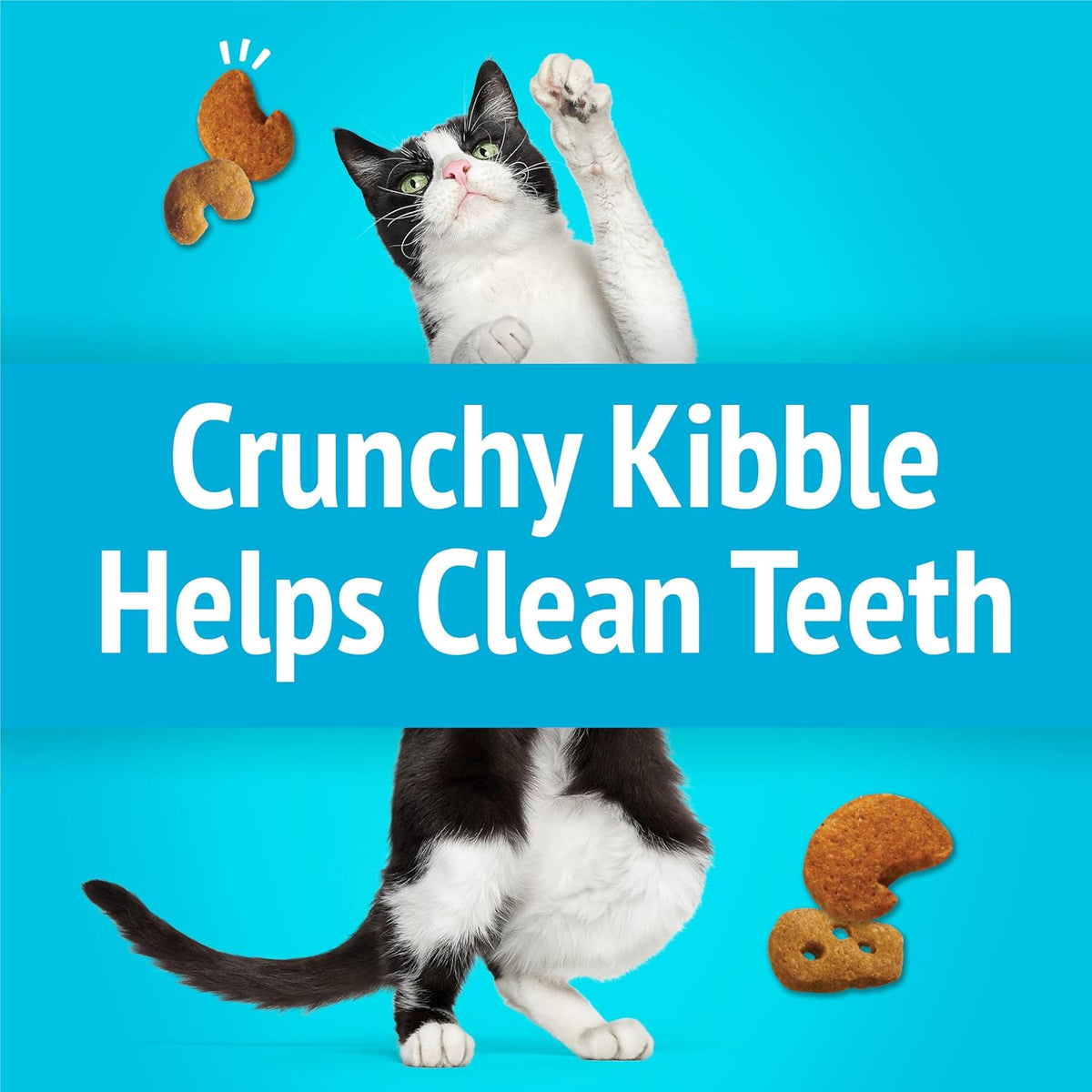 Purina Friskies party mix cat treats six ounce pouch layout