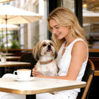 Adjustable brown leather collar for small dogs