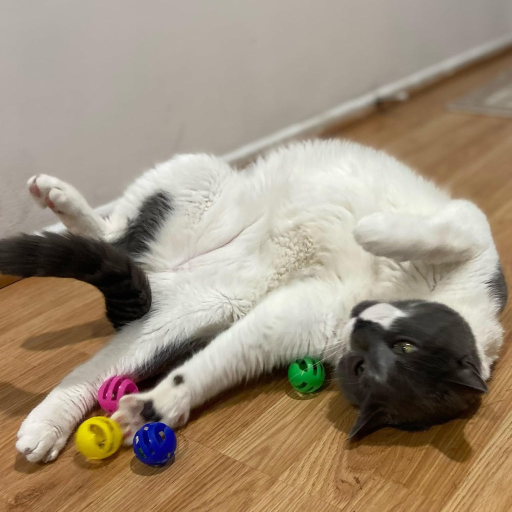 SPOT Slotted Balls Cat Toy - Interactive Cat Toys for Indoor Cats to Chase, Hunt and Stimulate - Jingle Bell Inside for Sound When Batted Around - Safe and Non-Toxic - 1.5" Assorted 4-Pack - Image 8