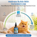 Pet Wellbeing natural renal support supplement for cats side angle