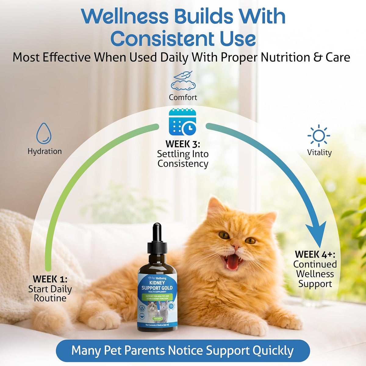 Pet Wellbeing natural renal support supplement for cats side angle