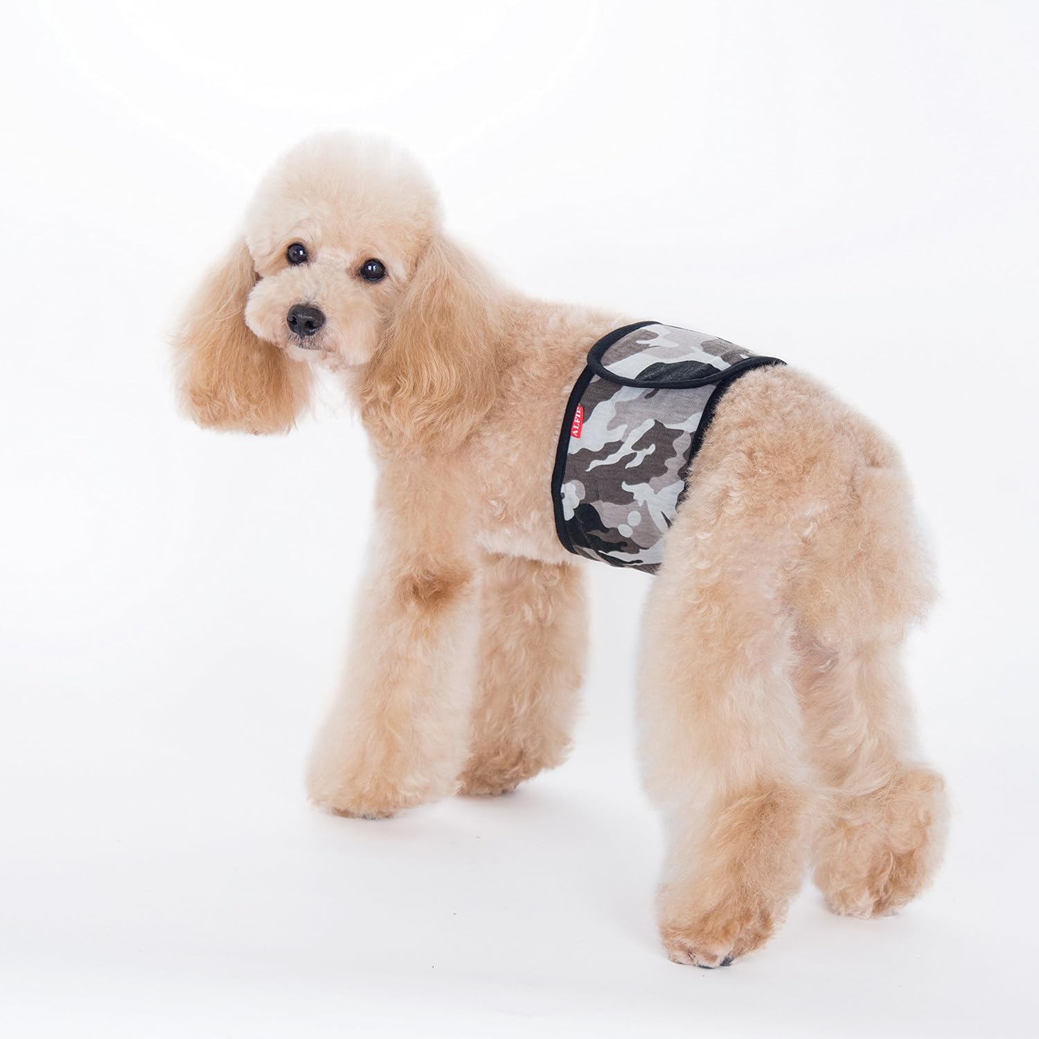 Alfie Pet male dog diaper wrap adjustable velcro closure close up