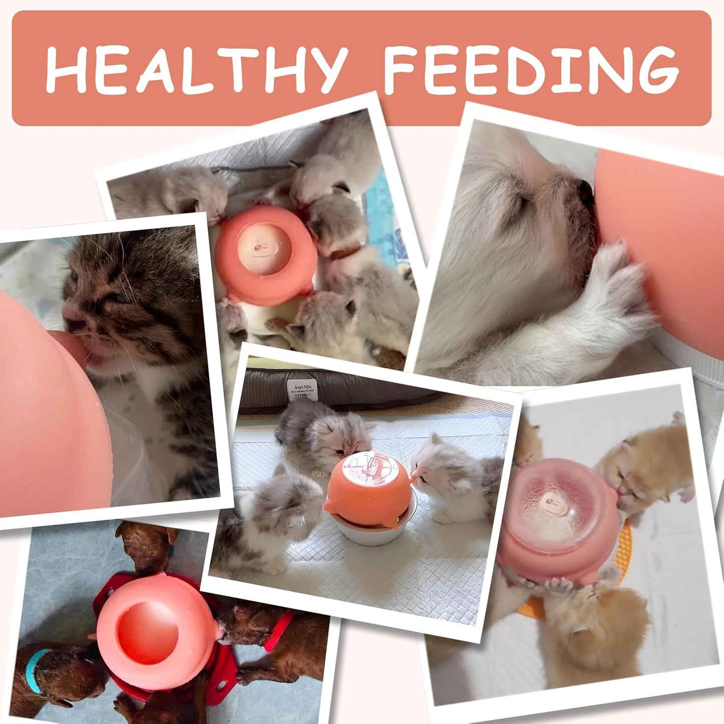 Packaging box and components of the ZALBYUY multiple puppy nursing device showing authentic details