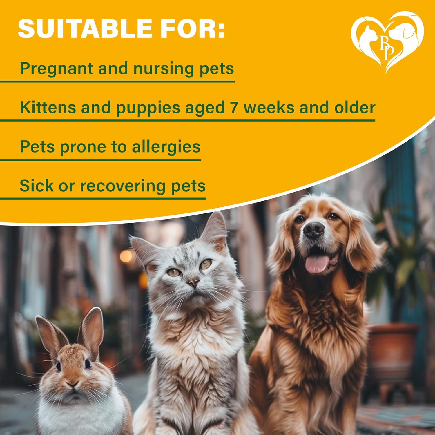 Beloved Pets natural insect repellent spray for pet furniture
