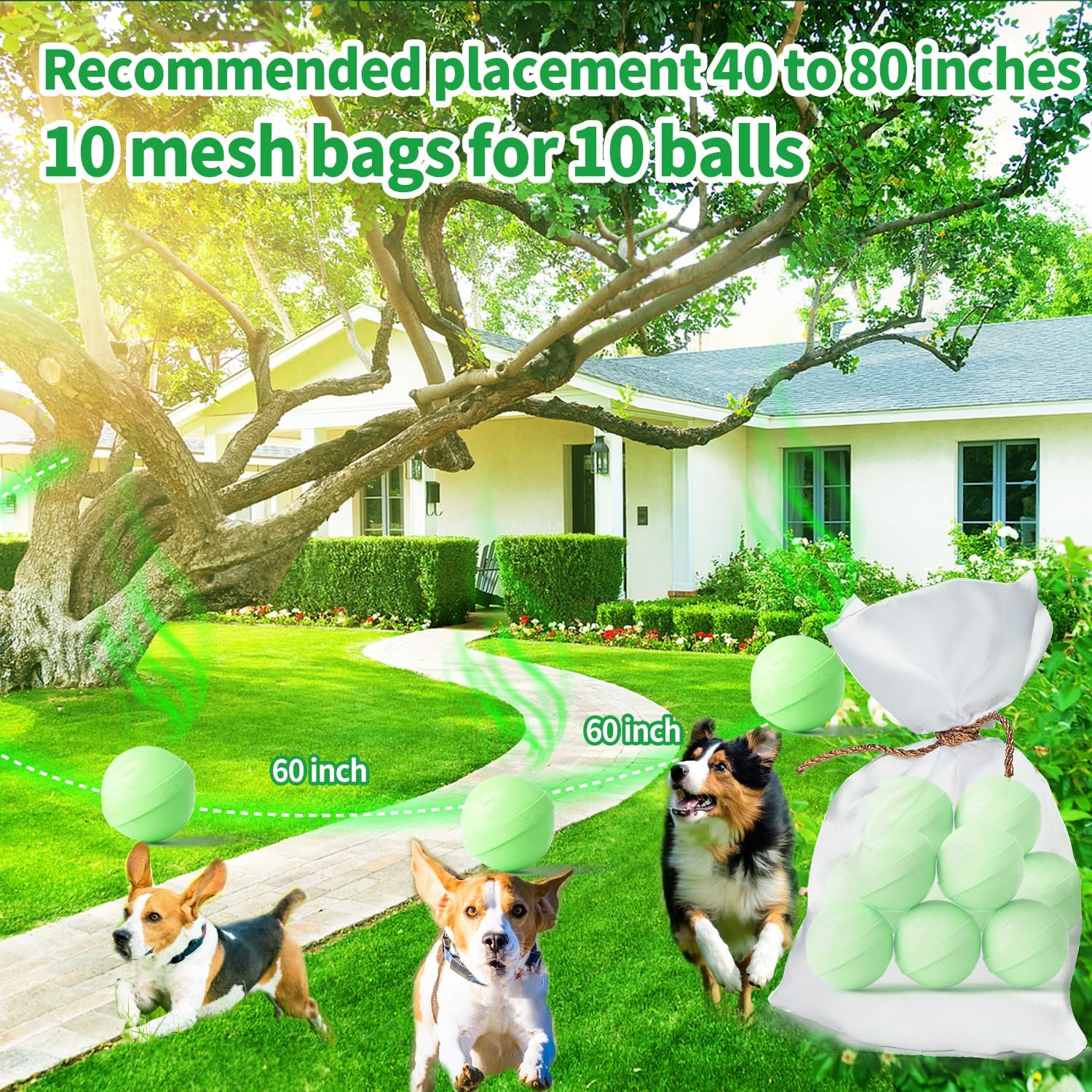 Outdoor garden application of dog deterrent balls