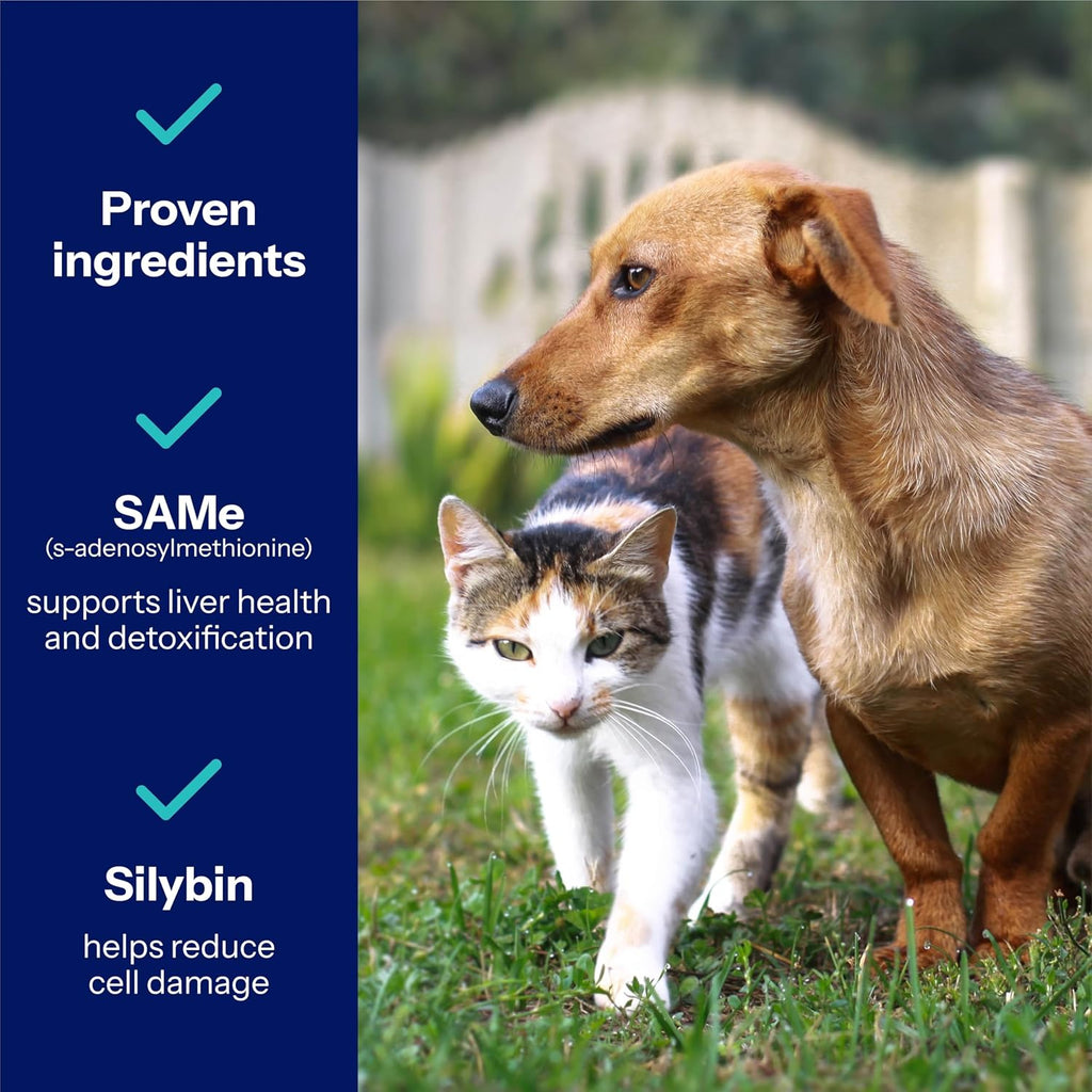 Side view showing 90mg dosage of Covetrus pet supplement
