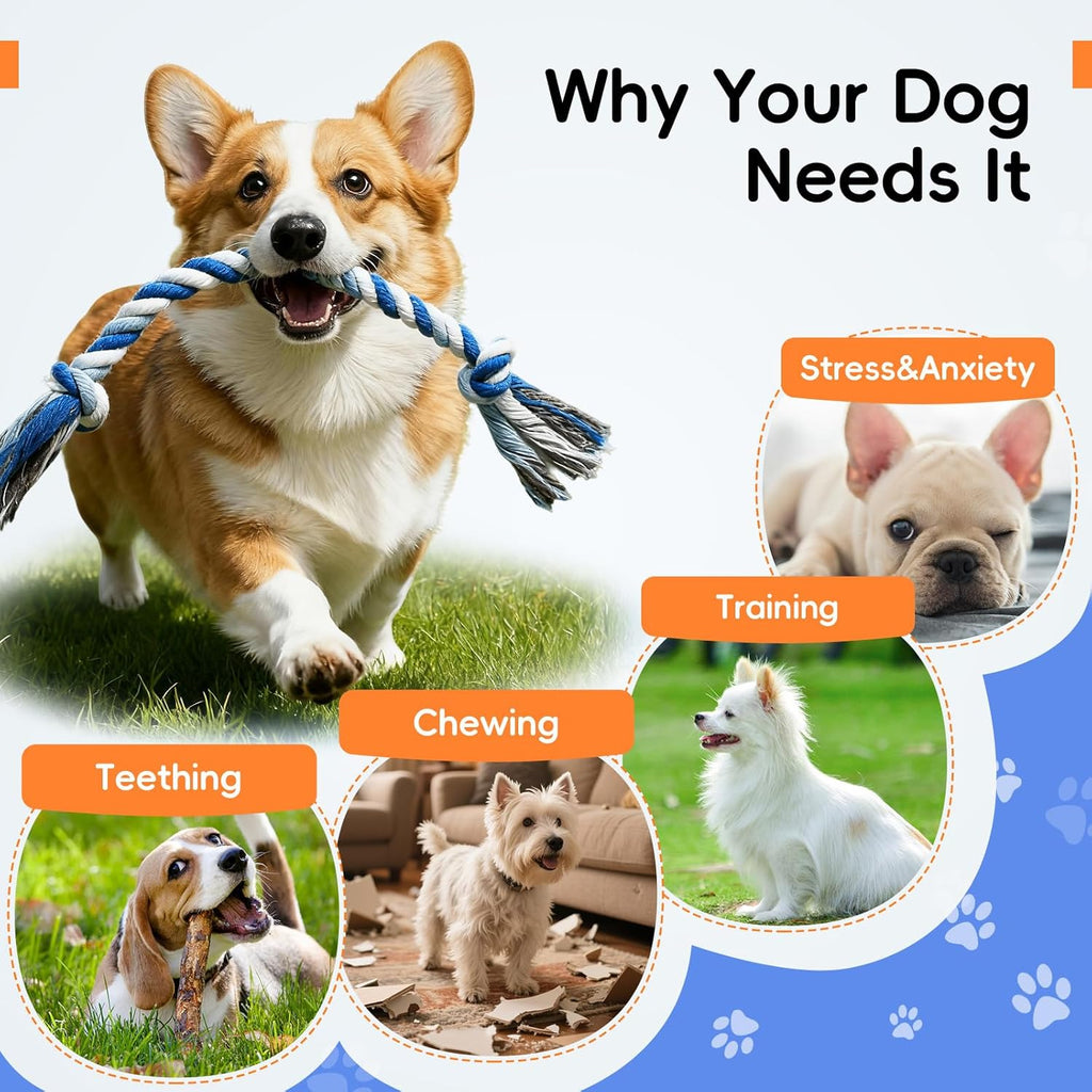 Wodoca interactive fetch and chew pet ropes showing comparison sizes for small breeds