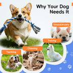 Wodoca interactive fetch and chew pet ropes showing comparison sizes for small breeds