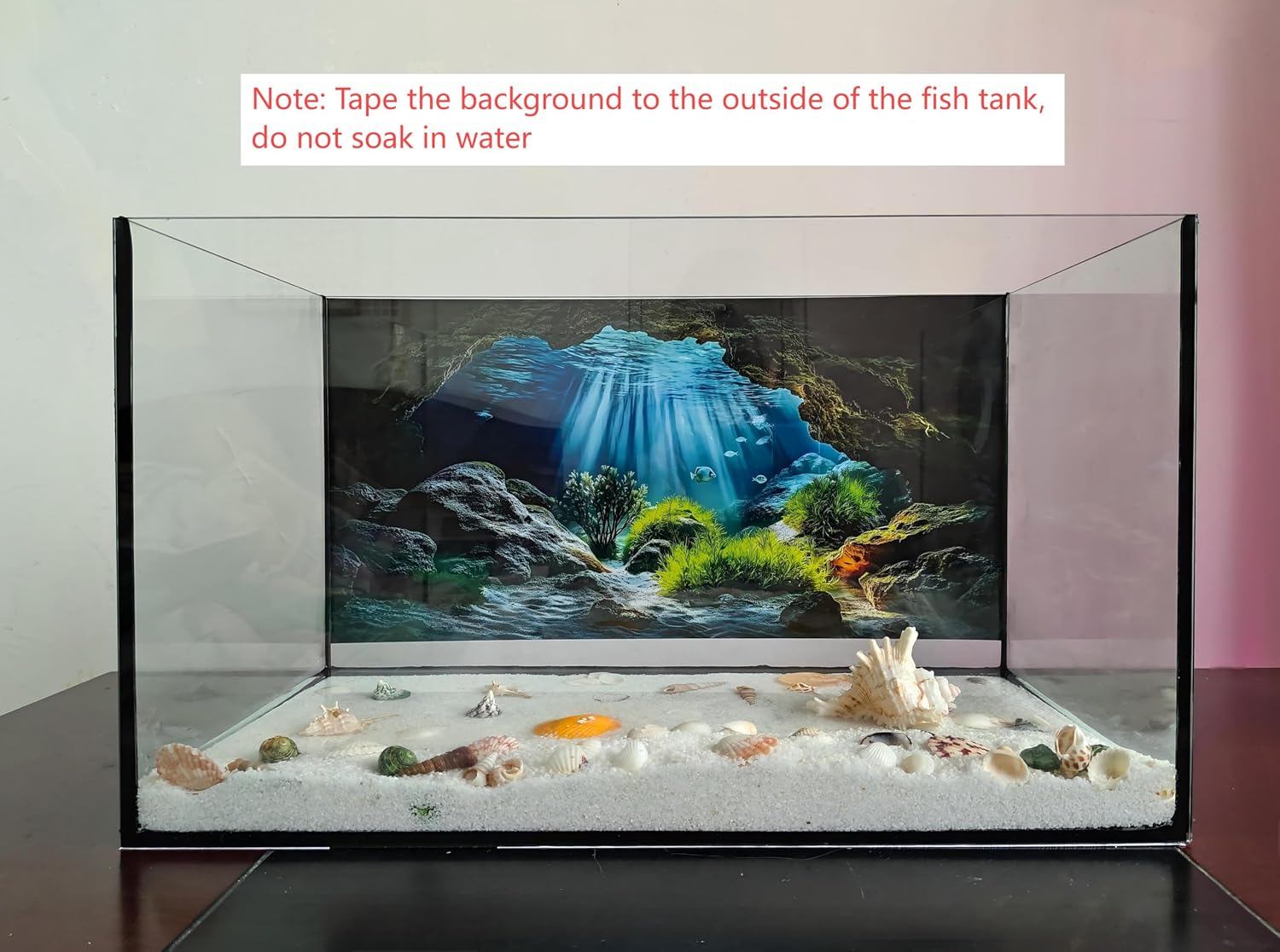 Vibrant 24x12 inches fish tank backdrop applied to a clean glass terrarium.