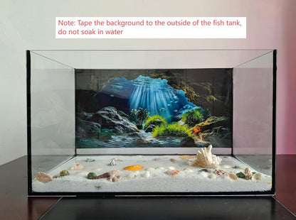 Vibrant 24x12 inches fish tank backdrop applied to a clean glass terrarium.